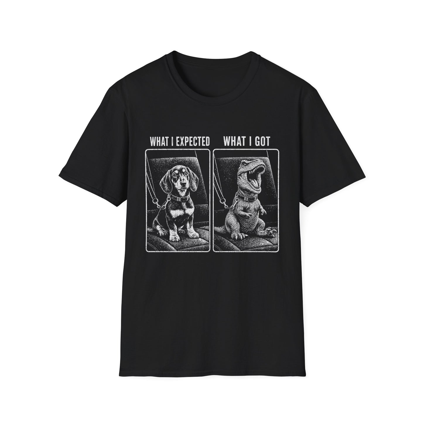 What I Expected, What I Got Tee