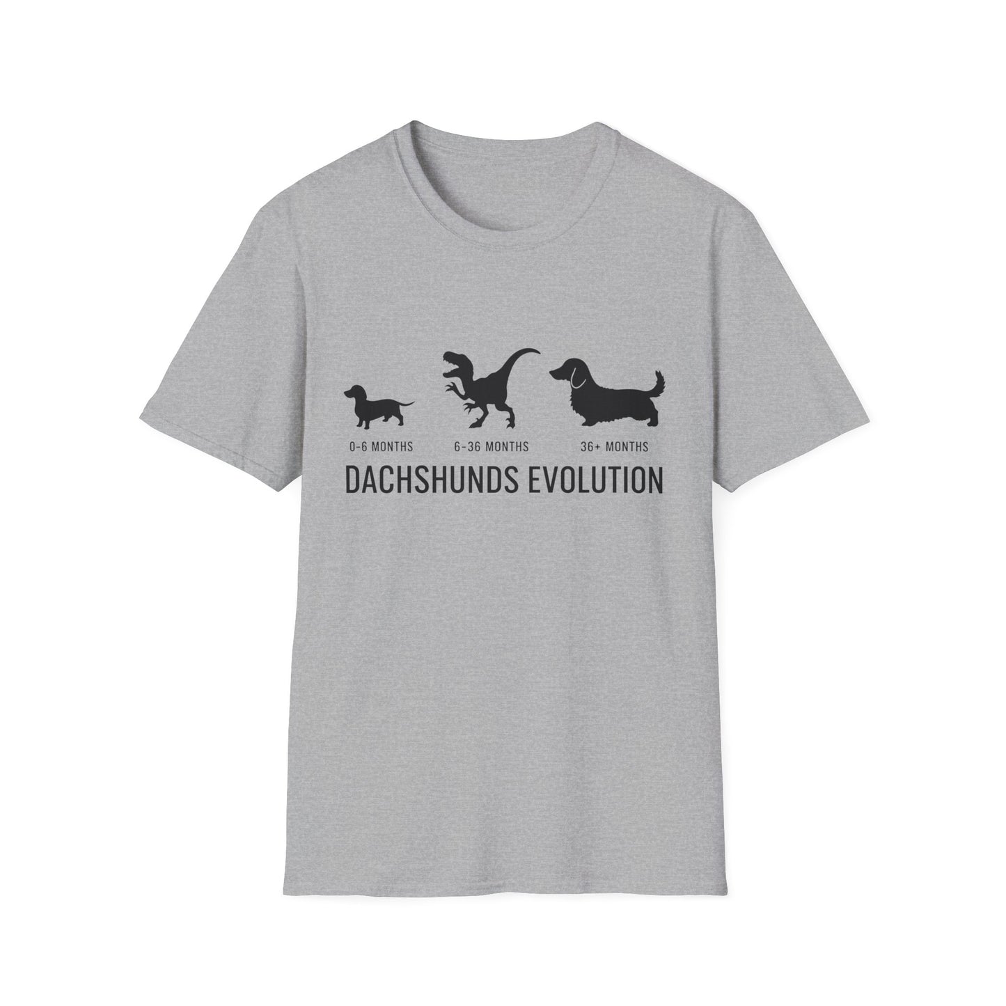 Chaos Evolution Tee