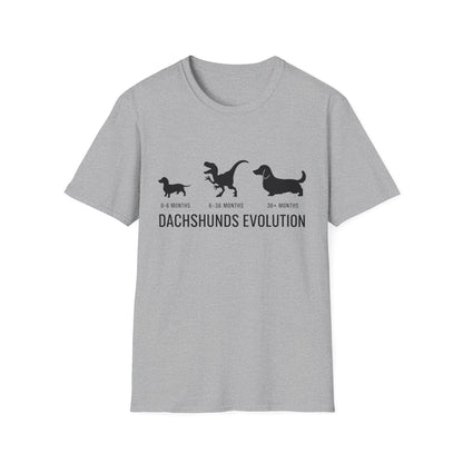 Chaos Evolution Tee