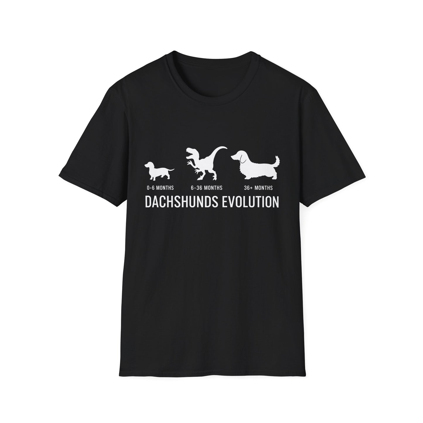 Chaos Evolution Tee